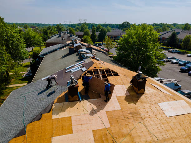Professional Roofing Contractor in Erwin, NC