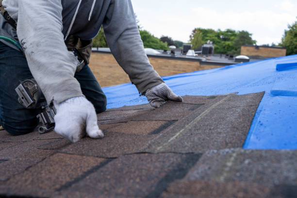 Best Local Roofing Companies  in Erwin, NC