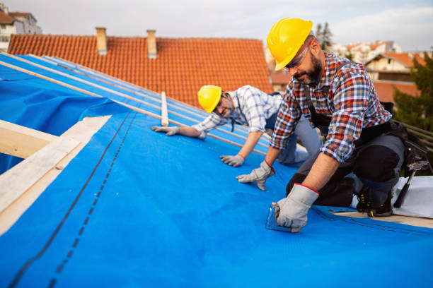 Best Roof Gutter Cleaning  in Erwin, NC