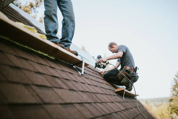 Roof Gutter Cleaning in Erwin, NC